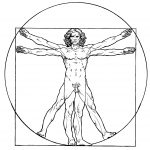 vitrubi5